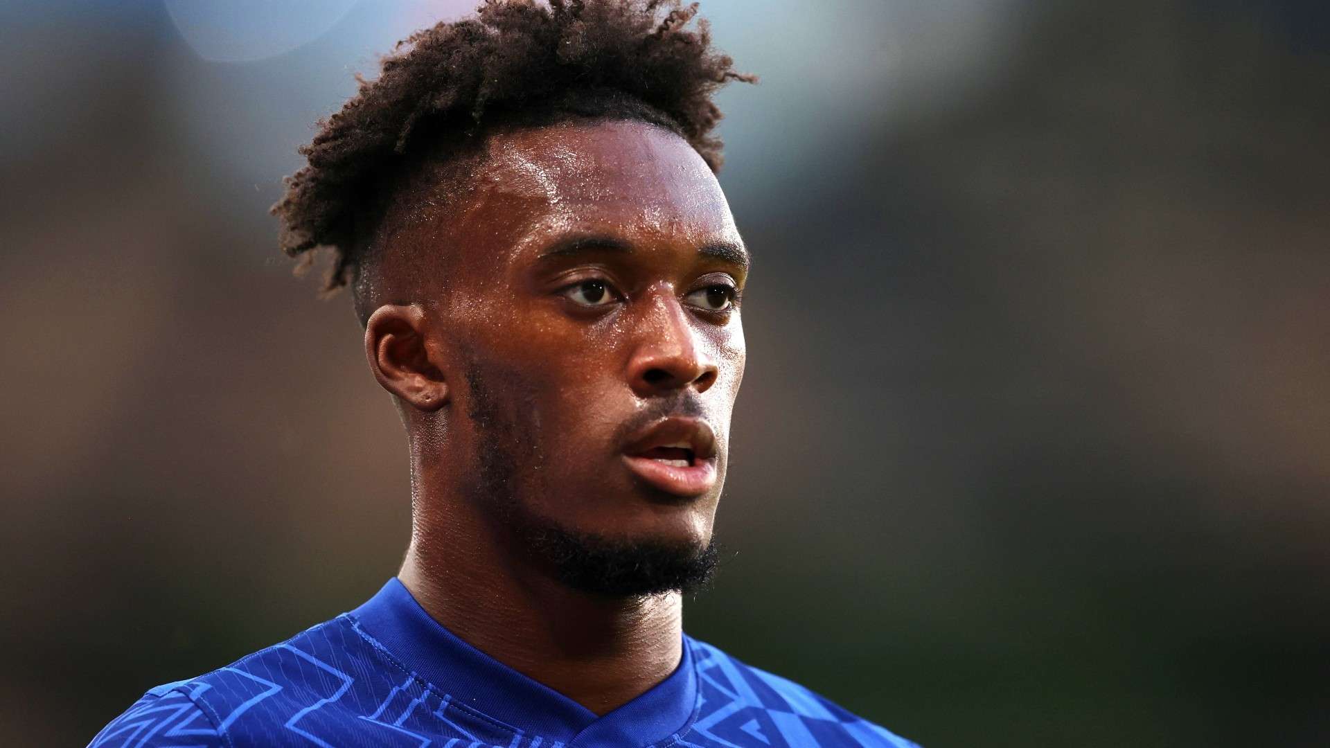 更加精明的 更加精明的