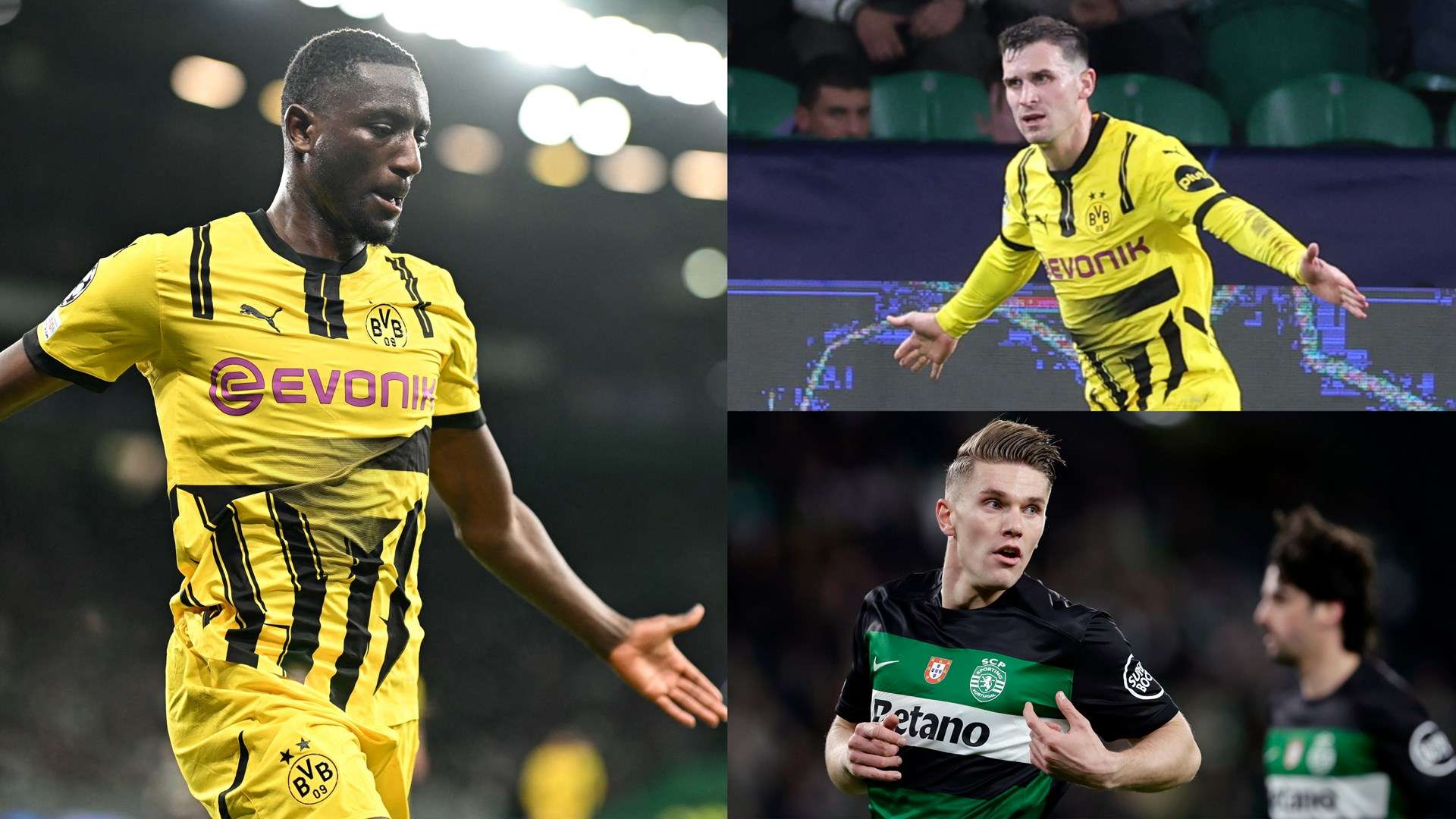 我们不仅看 我们不仅看