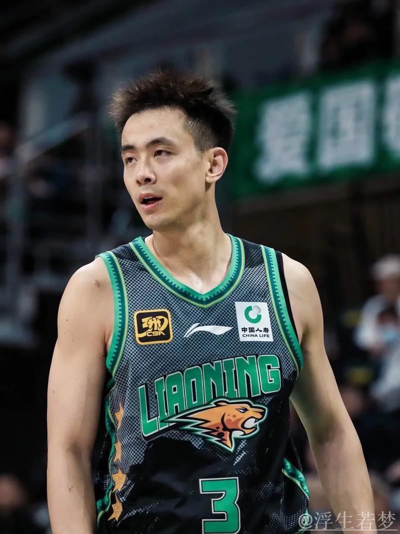 3月31日常规赛：辽宁对阵山东 赵继伟精彩表现